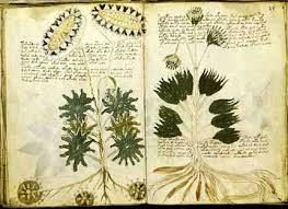 The Voynich Manuscript -