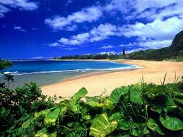 Uncategorized / Kauai
