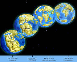 Cenozoic Era