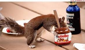 So, what the heck is Nutella?