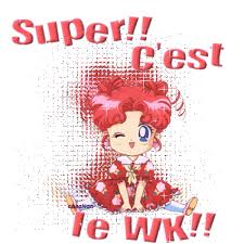 Afficher l'image en taille relle