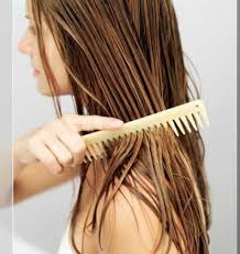       \/\/  ............................ 