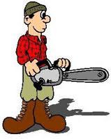 Afficher l'image en taille r�elle