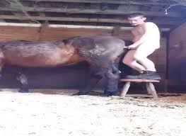 Free ponyporn man fucks mare petlust dude fucks animal extrem sex and taboo porn jpg x Man fucks mare