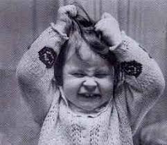 images?q=tbn:ANd9GcQ-ZutT3ZT_GFPYKW22OYhSQlBWqVCFd6kfV_QDAy_I1ih22WeQ