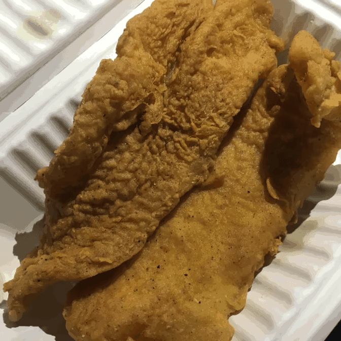 Lake Trout 2 by null