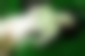 篠山紀信写真、ヘアーヌード写真|篠山紀信展 写真力 展覧会について｜東京オペラシティアートギャラリー