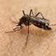 Zika funding part of spending bill 