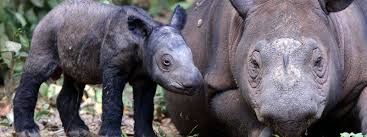 animalsex src|ナルト】恋獣 - 同人誌 - エロ漫画 momon:GA（モモンガッ!!）