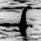 'Real' Loch Ness Monster? Large 164-million-year-old fossil unveiled in Scotland 