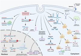 Han Chae-ah fakenude|Carbon-centered radical based dynamic covalent chemistry for  stimuli-responsive chromic materials - Journal of Materials Chemistry C  (RSC Publishing) DOI:10.1039/D3TC00117B