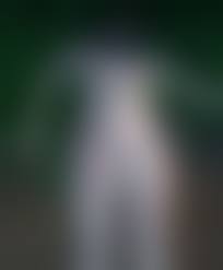 【少女グロ　レイプ死体】|閲覧注意】行方不明になっていた女性がバラバラにされ恐ろしい姿の遺体で発見される...＝ブラジル | カルロ・グローチェ