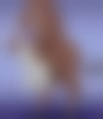 beastiality horse anal sex|Licking the horse's ass !! : r/HentaiBeast