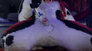 Gay fursuit sex jpg x Gay fursuit