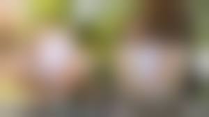 girl pee porn|彼女の嫌いな人/ぬいぐるみを刺激した後、彼女のユニコーンのcuteの女の子のおしっこ - Pornhub.com