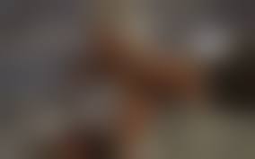 Bad onion hentai 14|Bad Onion) Diana, The Glory-Hole Slut watch online