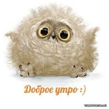 images?q=tbn:ANd9GcQ3sVozjabFsbBpru1yuDH