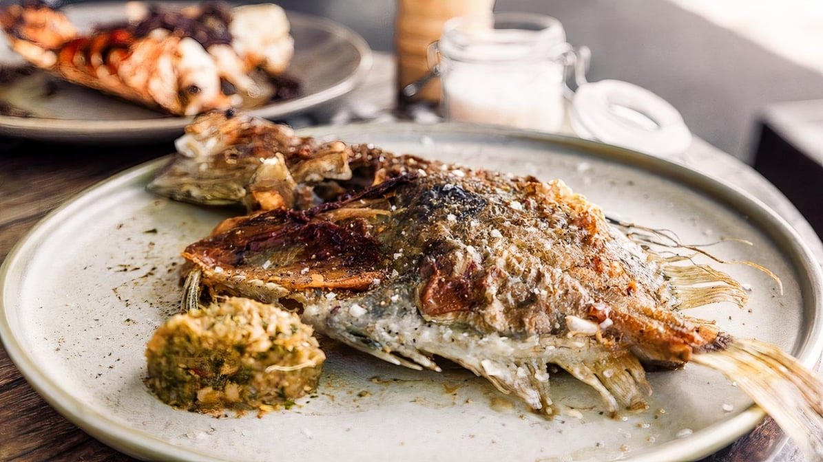 Claypots Evening Star by null