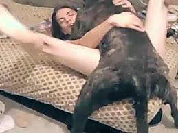 Cupcake dog porn quick hotel sex zootube videos jpg x Girl and dog sex