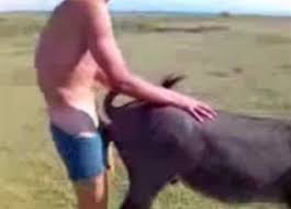 Animal sex farm ⋆ jpg x Farm animal sex