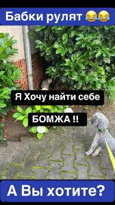 маша бабко в сперме @@@|Прикол Что Вы Хочите Две Бабки | TikTok