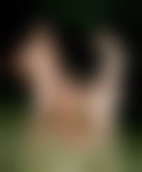  голые при  детях'|Нудизм в СССР - История России в фотографиях