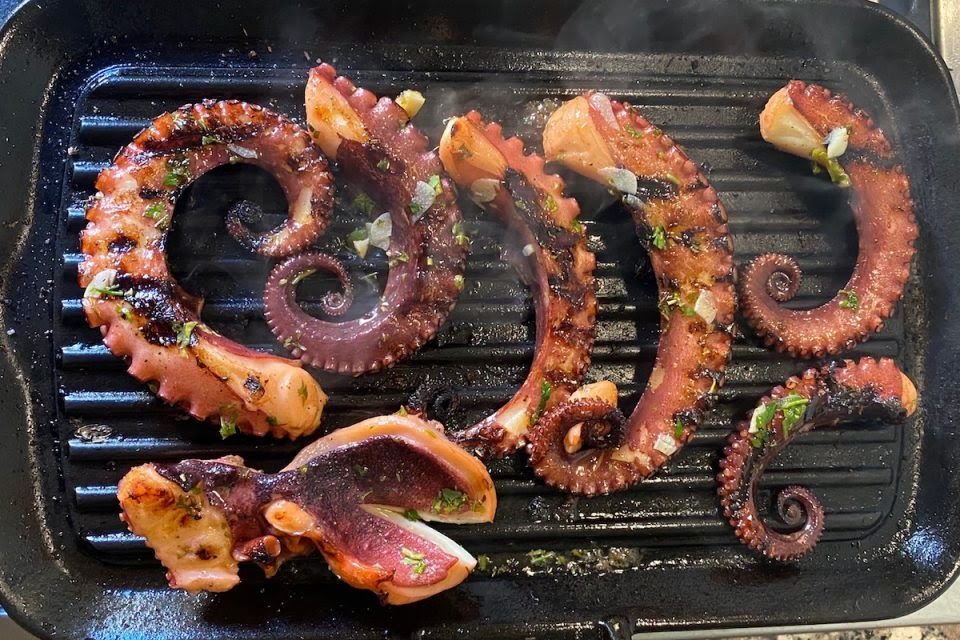 Paninart Trani by null