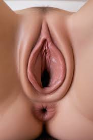 Long labia lips porn videos faphouse jpg x Long labia