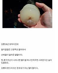 tumbex 딸사진|저희 아빠가 완전 딸 바보였어요. 항상 저를 여기저... - Tumbex