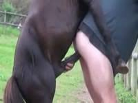 Woman has sex with horse jpg x Woman has sex with horse