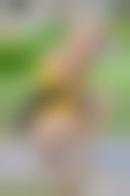 ftvgirls mindy nude|Mindy Nude at FTV Hunter