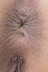 Asshole close up porn pics jpg x Open butthole