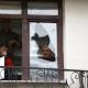 Turkey says Istanbul suicide bomber was member of Islamic State 