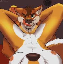 Furry hentai pov tigress blowjob and gets fucked fox japanese manga anime yiff cartoon porn jpg x Pov furry