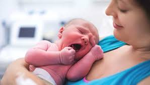 child in erection|Sexual Curiosity in Young Children: An A-to-Z guide for parents | DrGreene