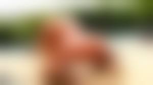 assfixation|Ass Fixation Assfixation Model Excellent Anal Pornographics Sex HD Pics