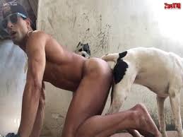Using flickr images shared other members jpg x Guy fucked by dog