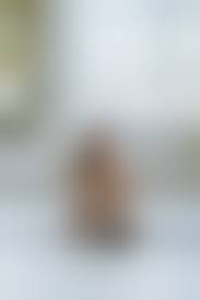 naked yoga |Amazon | The Naked Yoga Effect: From Cancer Survivor to Yoga Teacher |  Gani, Doria, Robson, Steve | Cancer