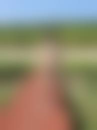 野外全裸妻|妻の野外全裸放置と放尿 (4/5) - イルカ＆ミサキ | 素人投稿アルバム