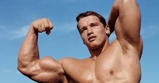 Arnold schwarzenegger nudes collectors realm jpg x Arnold schwarzenegger