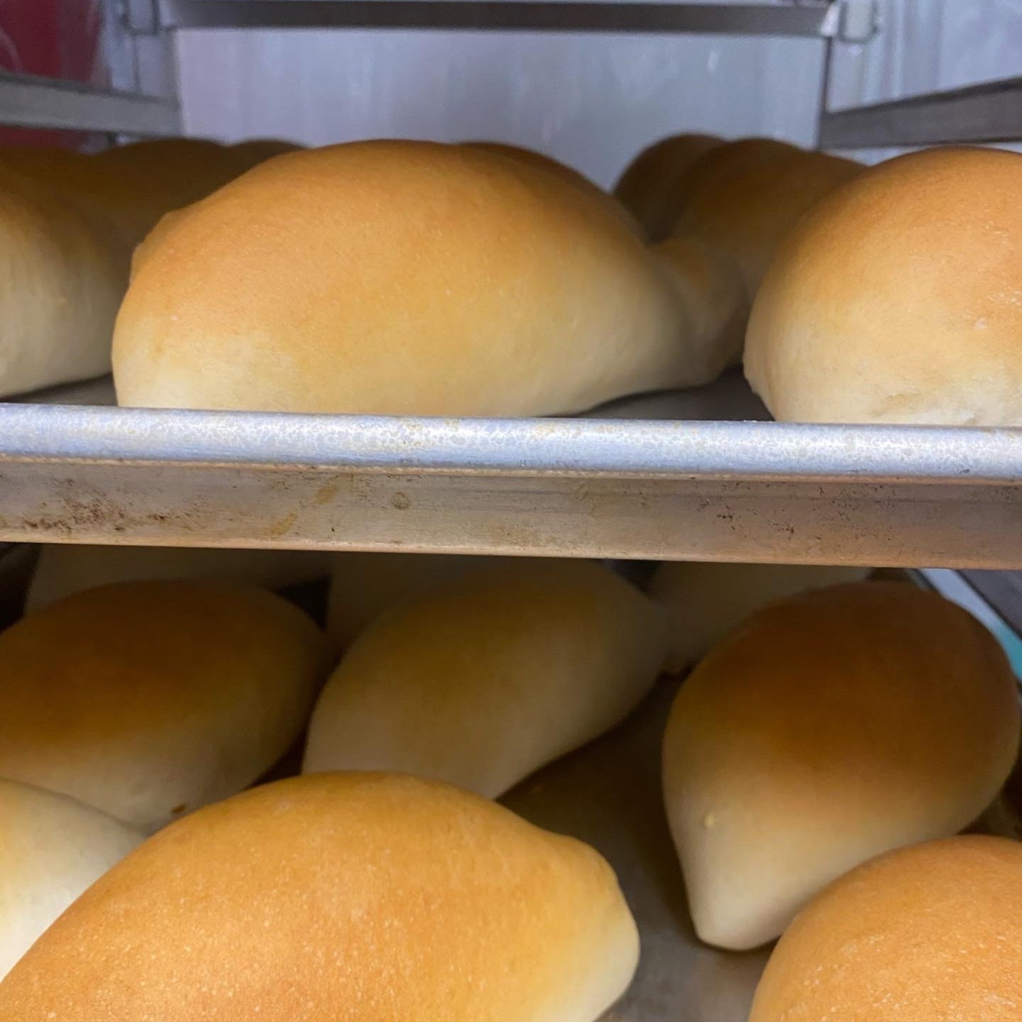 Chico's Oven by null