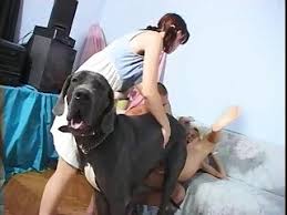 Search dolphin fucks girl jpg x Fucks dolphin