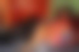 dogs fuck litlle girls|Little dog surprises his owner during zoophilia - Zoo Xvideos