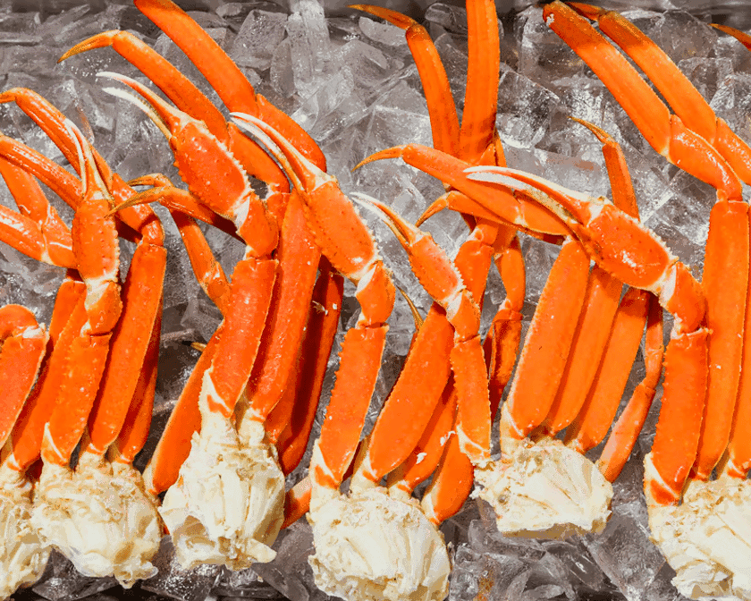 Topsail Steamer Seafood by null