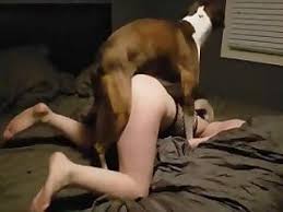 Tick zoo dog fuck girl compilation videos thumbnail jpg x Sex with female dog