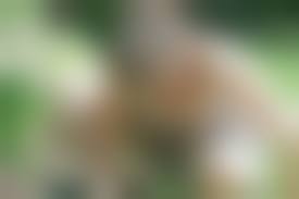 bad mom son nude|Nude video celebs » mother-son - Page 2