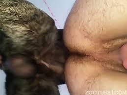 Guy fucked dog jpg x Guy fucked by dog