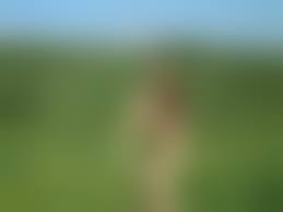 russian amature teen nude|Naked Teens Pic - Free Pictures Of Bikini Girls, Amateur Teen