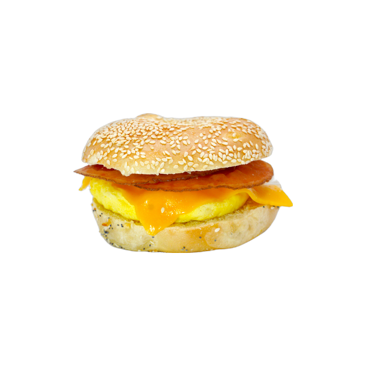 House of Bagels by null