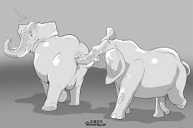 White elephant jpg x White elephant